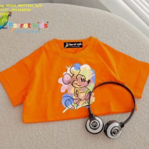 [🤝Bán Sỉ Vkids-Top1Order🛒] – =====>>>> LÔ MỚI NHA CẢ NHÀ

HÀNG CÓ SẴN





_ ꫛꫀꪝ♥️🦜





Áo  …